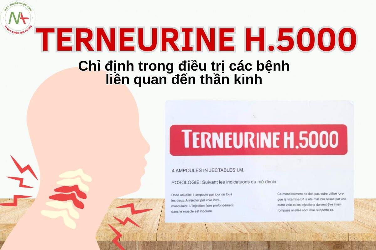 Terneurine H.5000 3 Thuốc tiêm Terneurine H5000 của Pháp điều trị các bệnh thần kinh