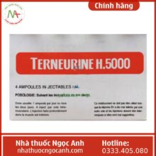 Terneurine H.5000