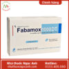 Thuốc Fabamox 1000 DT