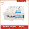 Thuốc Fabamox 1000 DT