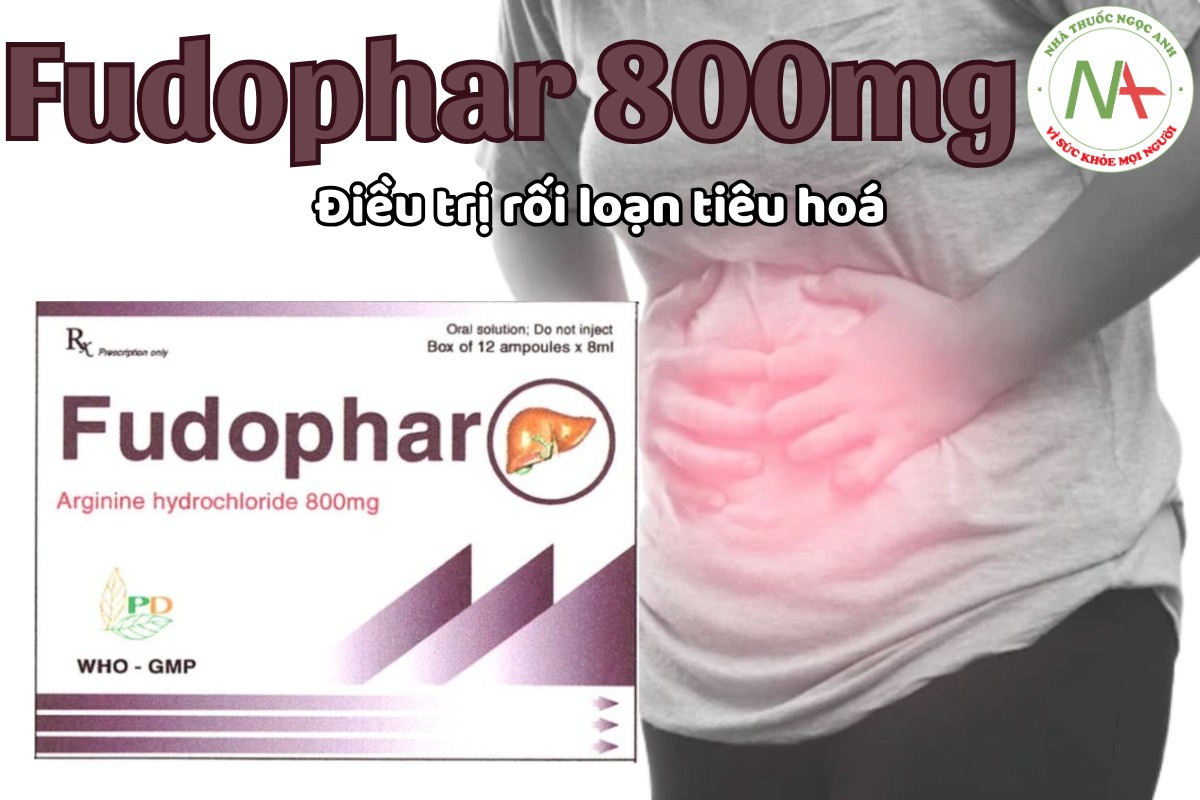 Fudophar 800mg điều trị rối loạn tiêu hóa