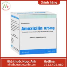 nghiêng amoxicillin 875mg