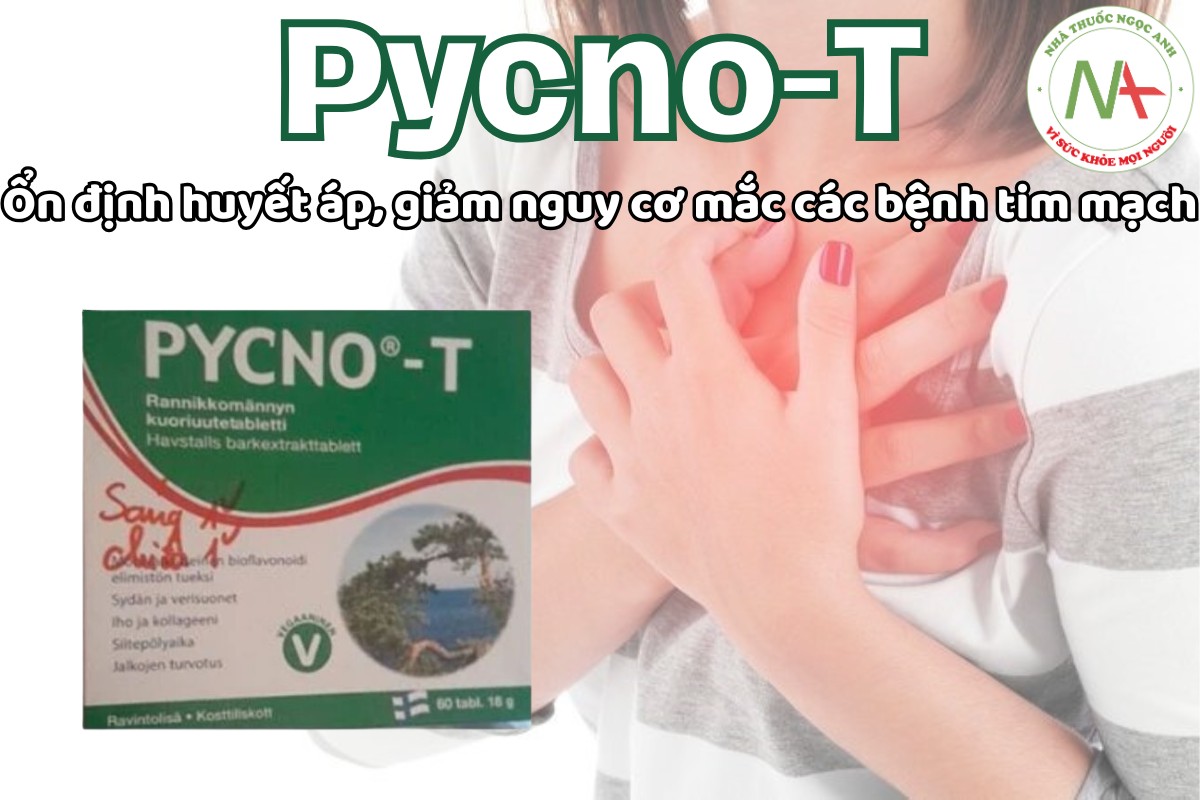 Pycno-T ổn định huyết áp, giảm nguy cơ mắc các bệnh tim mạch