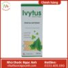 Thuốc Ivytus 200ml