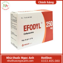 thuốc efodyl 250mg