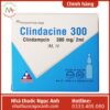 Clindacine 300