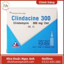 Clindacine 300