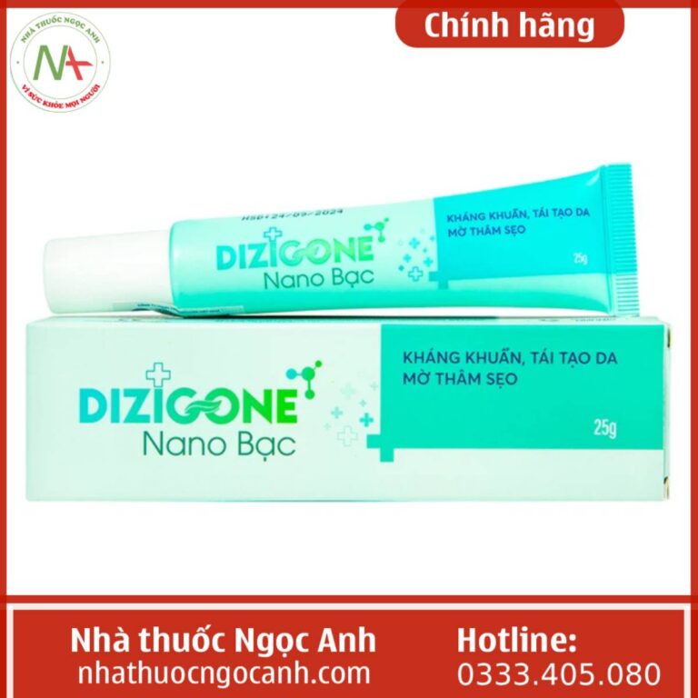 Dizigone Nano Bạc