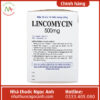 Lincomycin 500mg Vidipha