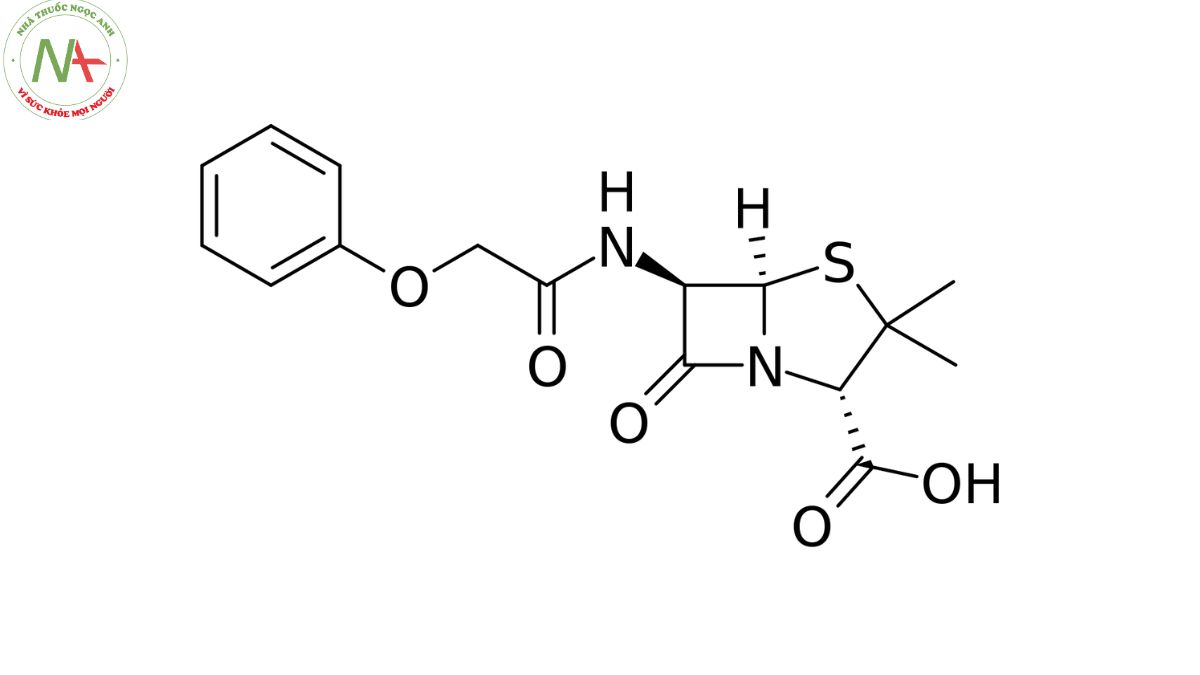 Cấu trúc phân tử Phenoxymethylpenicillin 