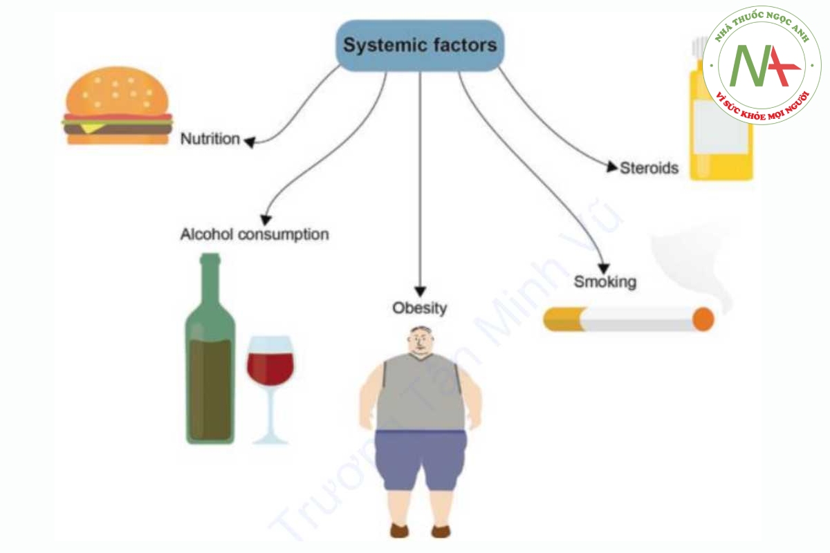Hình 1.5 Các yếu tố toàn thân ảnh hưởng đến việc lành vết thương gồm rượu, thuốc lá và lượng steroid, cũng như tình trạng dinh dưỡng và béo phì