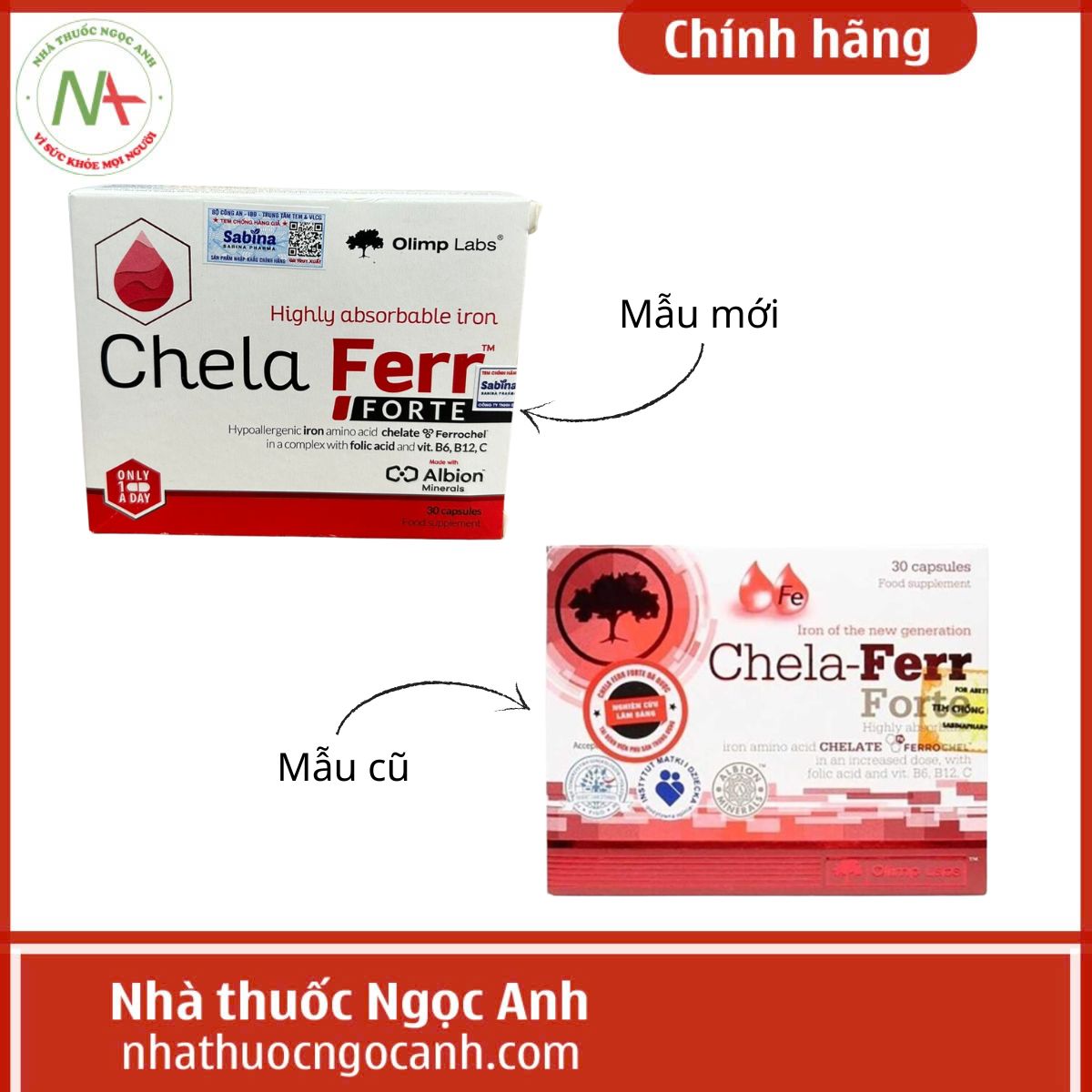 Chela-Ferr Forte 6 chela-ferr-forte