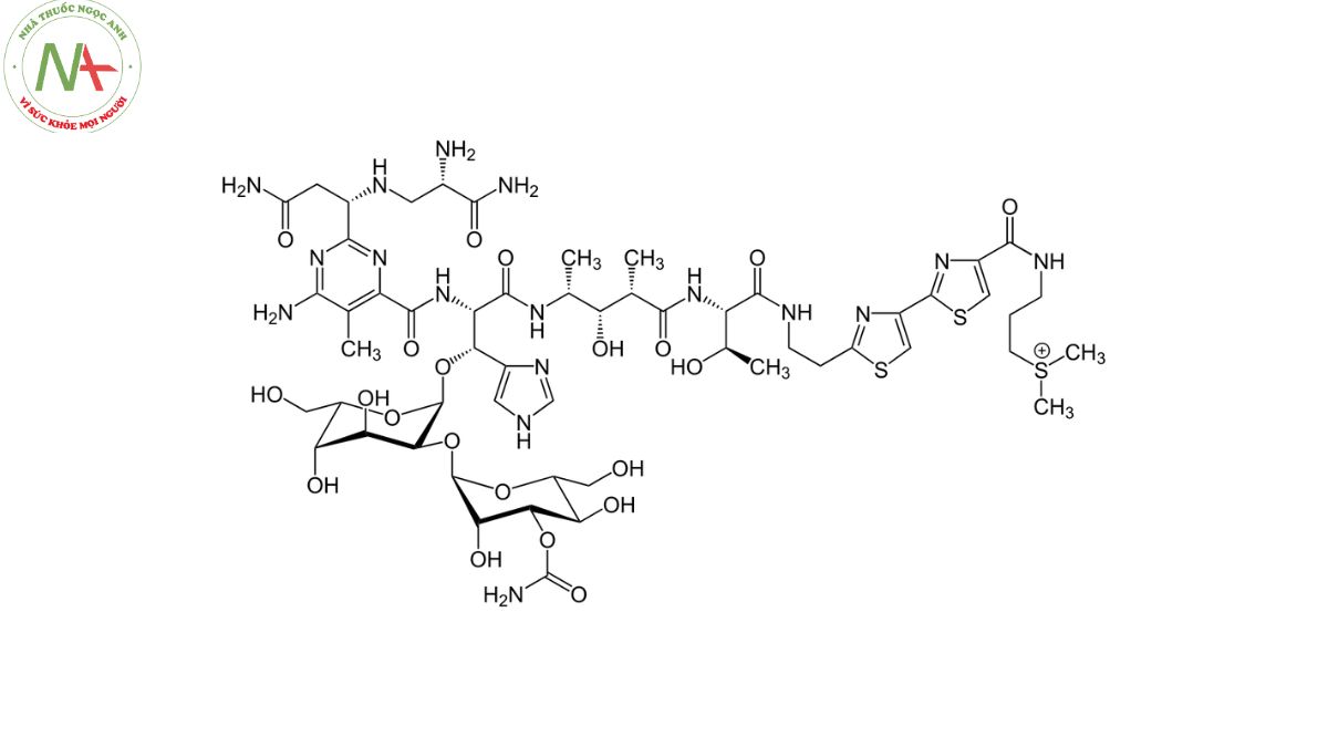 Cấu trúc phân tử Bleomycin 