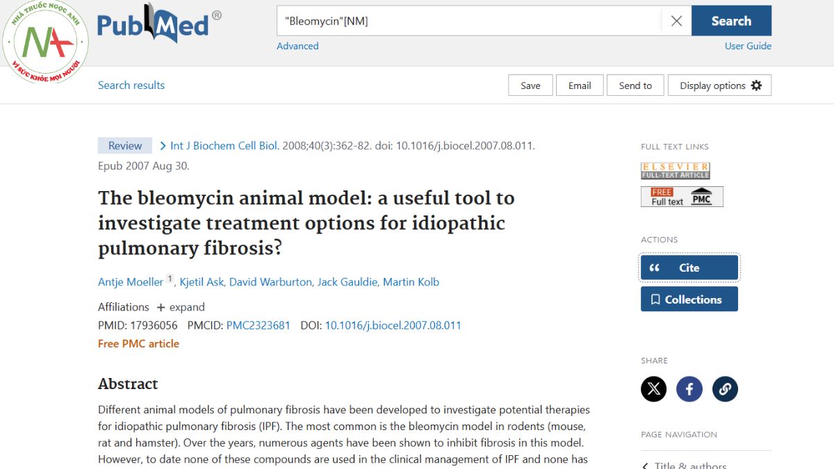 The bleomycin animal model: a useful tool to investigate treatment options for idiopathic pulmonary fibrosis?