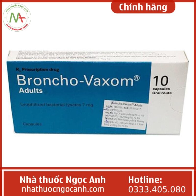 Thuốc Broncho-Vaxom Adults 7mg là thuốc gì, giá bao nhiêu, mua ở đâu