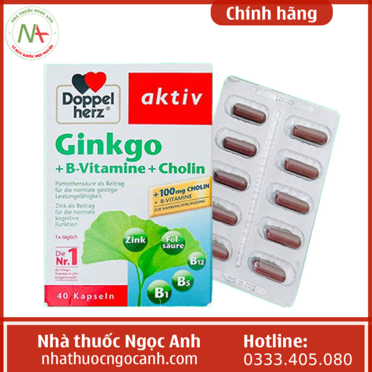 Ginkgo + B-Vitamine + Choline Doppelherz