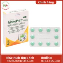 GinkoPrim Max 120 mg STADA
