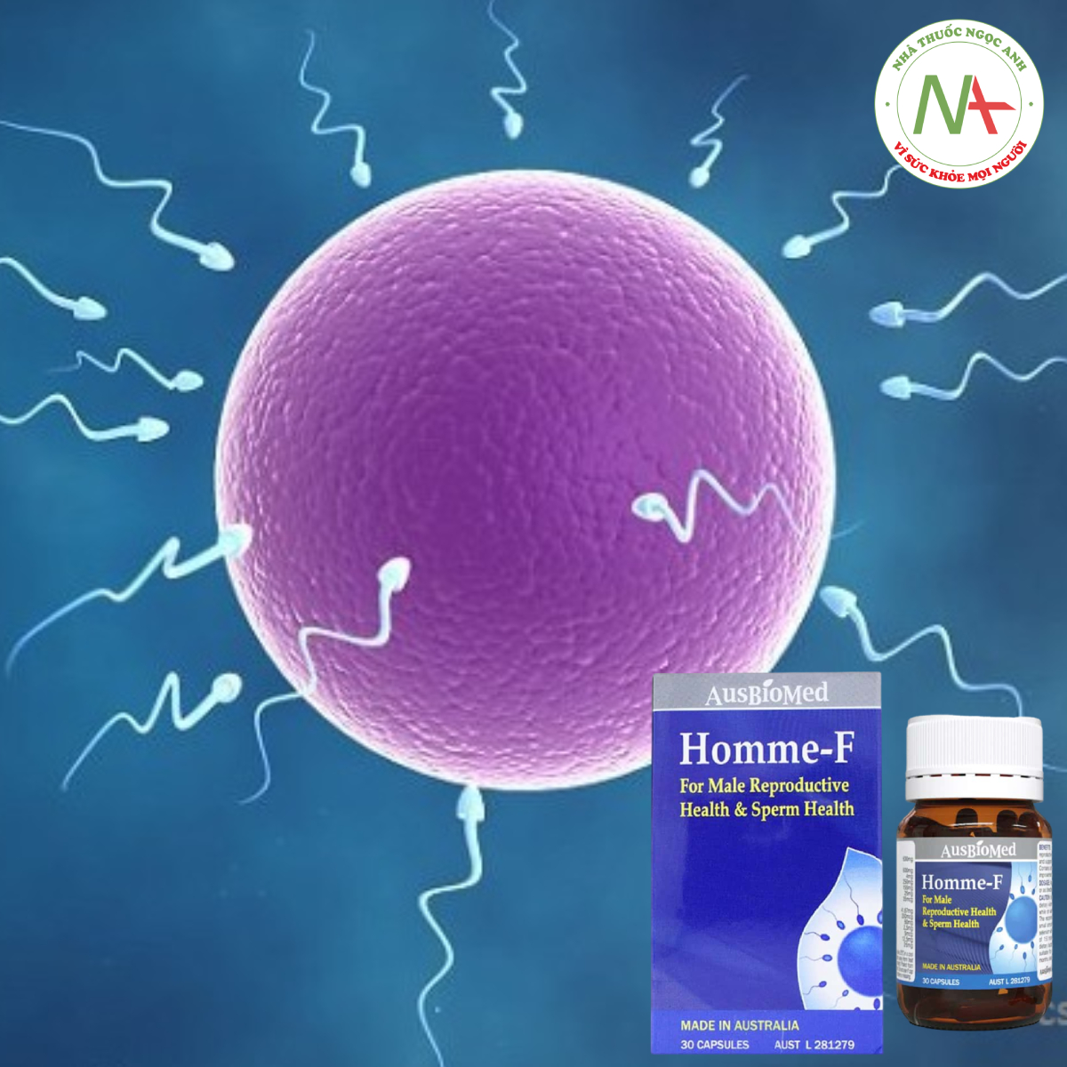 Homme-F giúp tăng cường số lượng và chất lượng tinh trùng