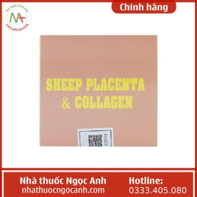 Sheep Placenta & Collagen Kingphar