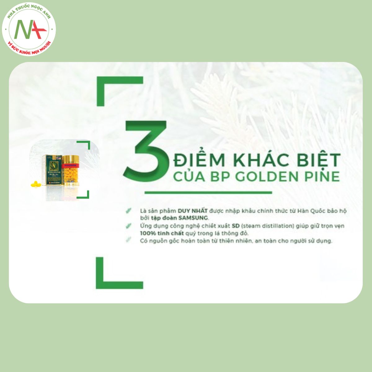 BP Golden Pine nhathuocngocanh