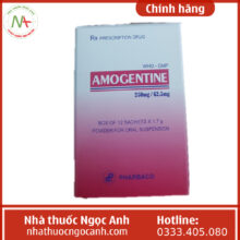 Amogentine 250mg_62,5mg
