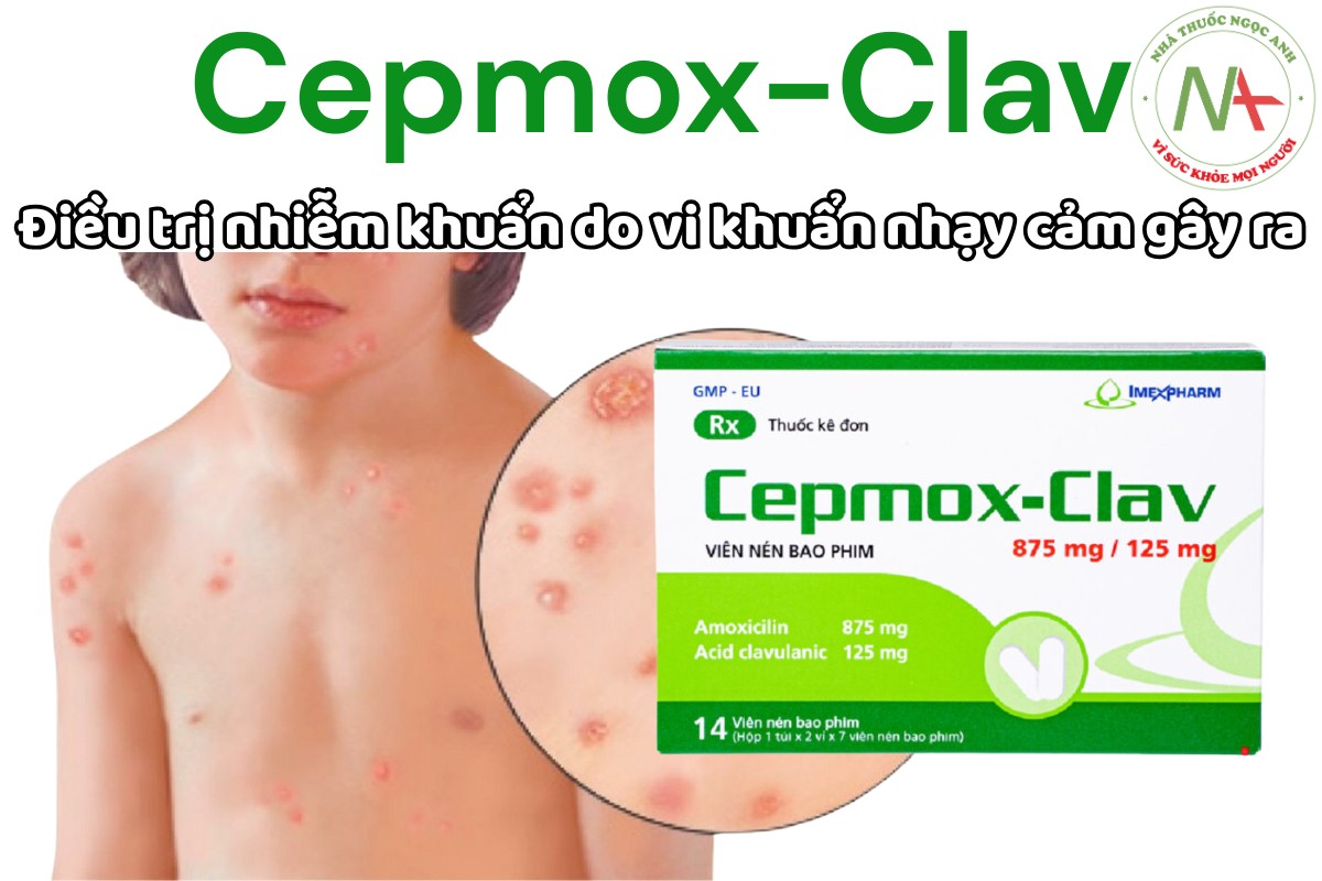 Cepmox-Clav điều trị nhiễm khuẩn do các vi khuẩn nhạy cảm gây ra