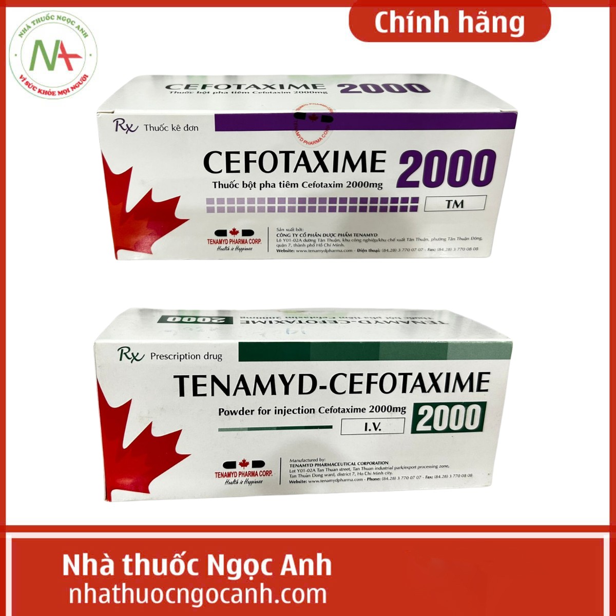Tenamyd-Cefotaxime 2000 6 Phân biệt Tenamyd-Cefotaxime 2000 và Cefotaxime 2000