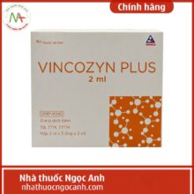 Vincozyn Plus