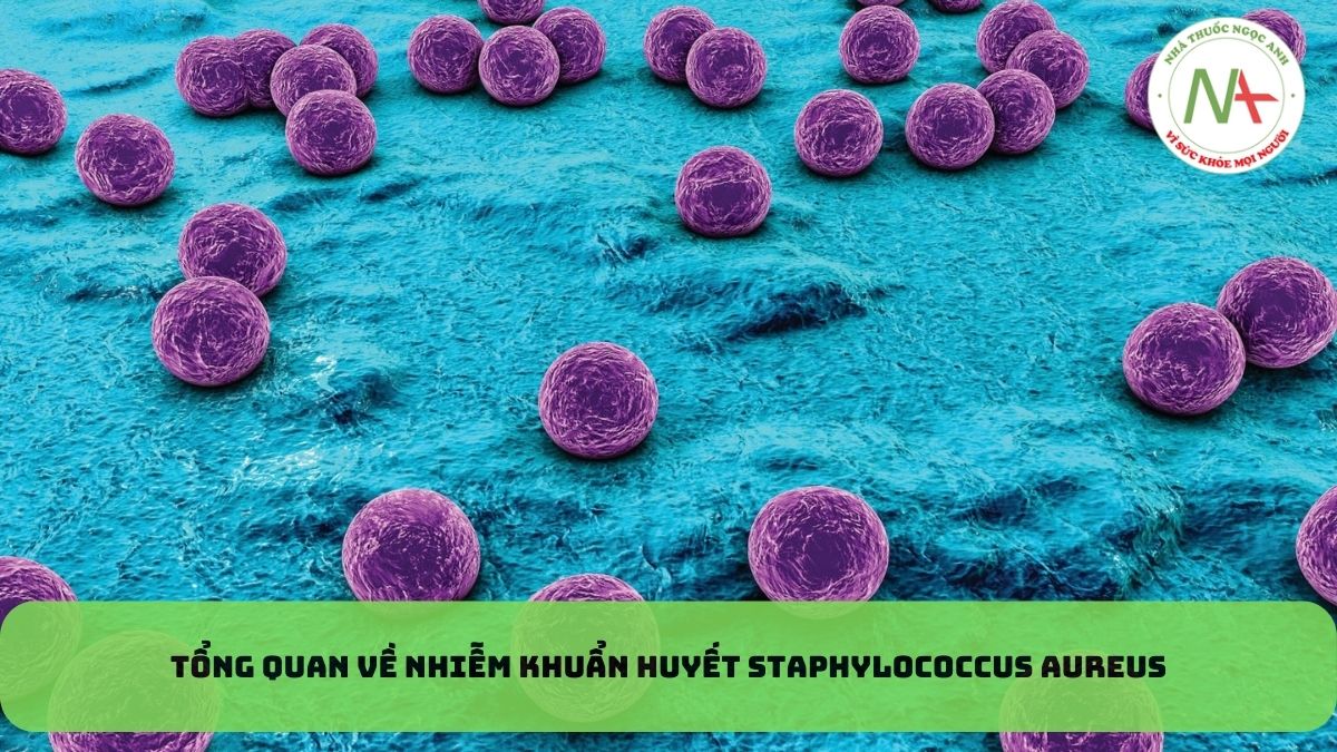 TỔNG QUAN VỀ NHIỄM KHUẨN HUYẾT STAPHYLOCOCCUS AUREUS