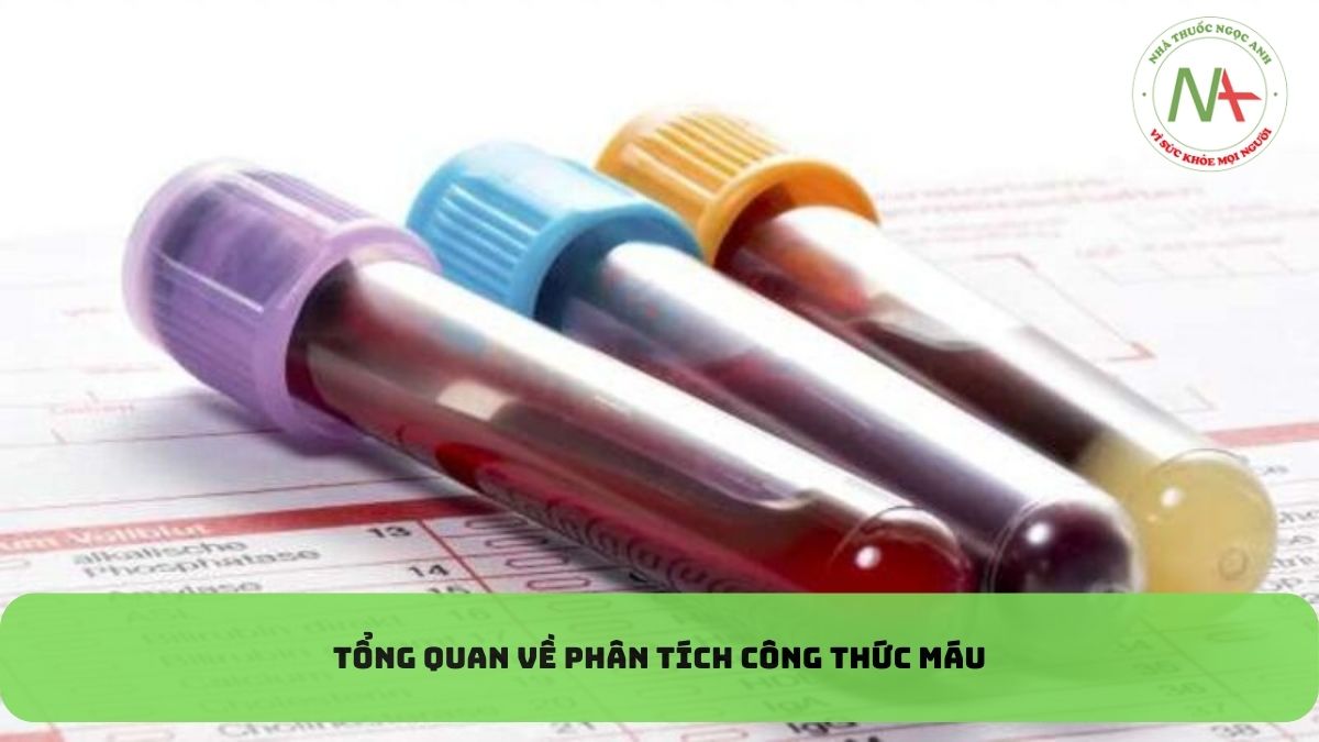 TỔNG QUAN VỀ PHÂN TÍCH CÔNG THỨC MÁU