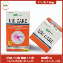 Uri Care hỗ trợ điều trị gout