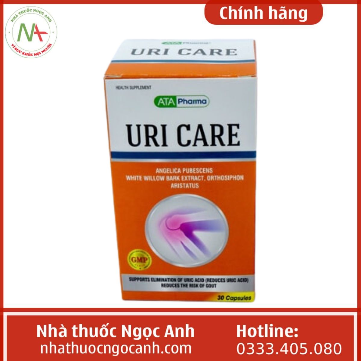 Uri Care hỗ trợ điều trị gout