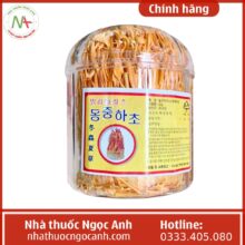 Đông trùng hạ thảo Hàn Quốc