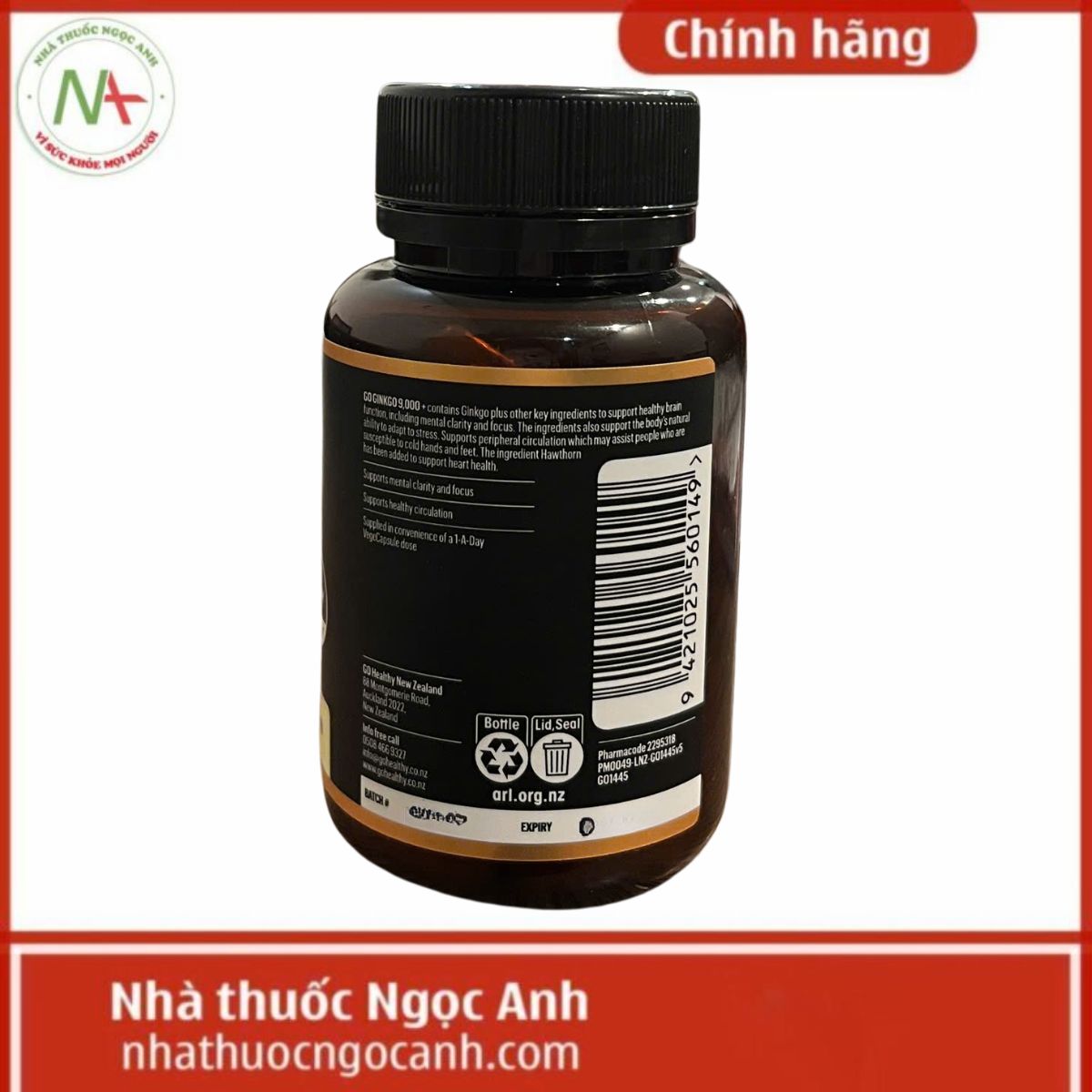 Go healthy Go Ginkgo 9,000 1-A-Day