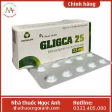 Gligca 25