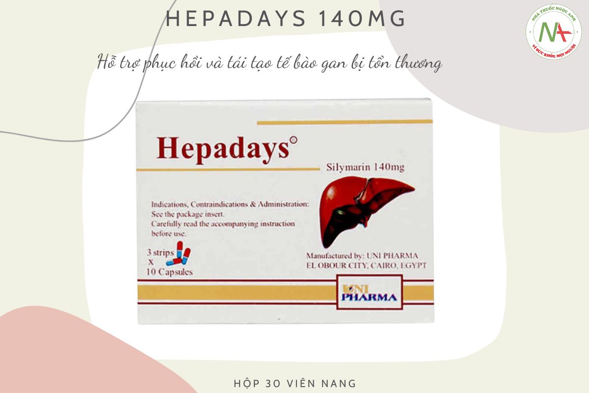 Hepadays hỗ trợ phục hồi, tái tạo tế bào gan bị tổn thương