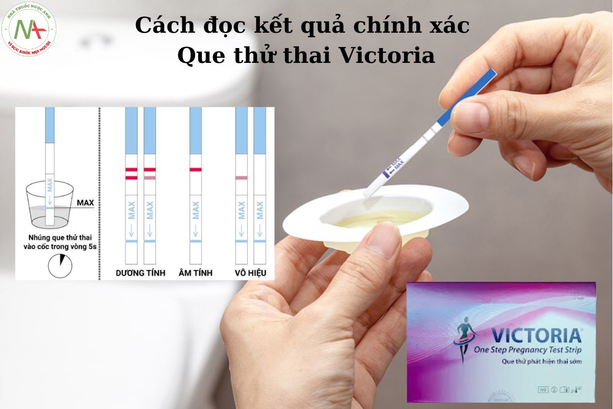 Cách đọc kết quả chính xác Que thử thai Victoria