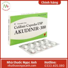 Akudinir-300