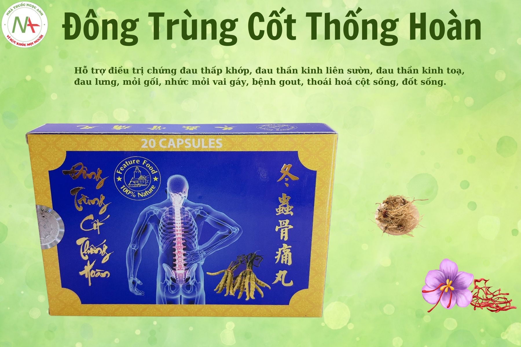 Đông Trùng Cốt Thống Hoàn