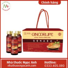 Gincorlife Đông trùng Hồng sâm