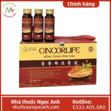 Gincorlife Đông trùng Hồng sâm