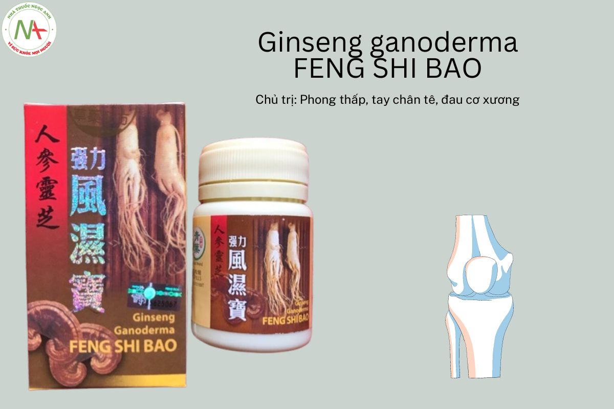 Ginseng ganoderma FENG SHI BAO