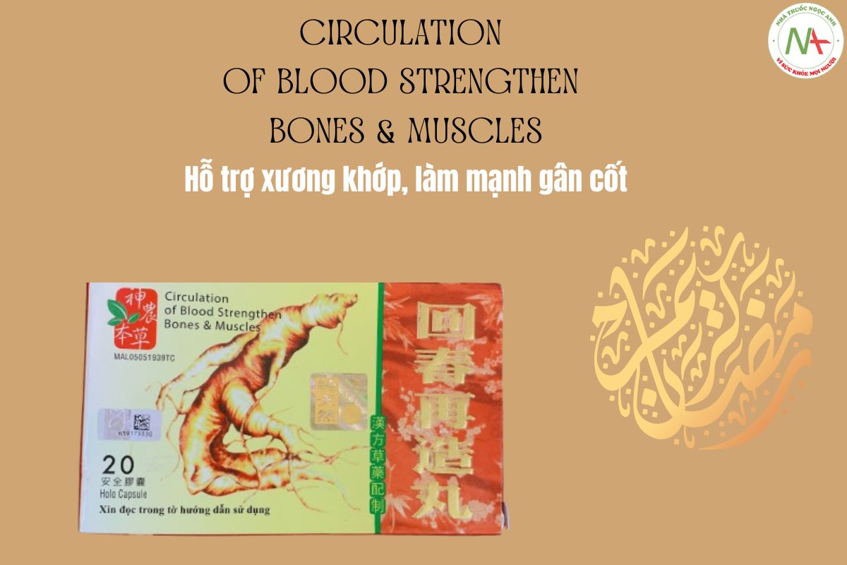 Circulation Of Blood Strengthen Bones & Muscles