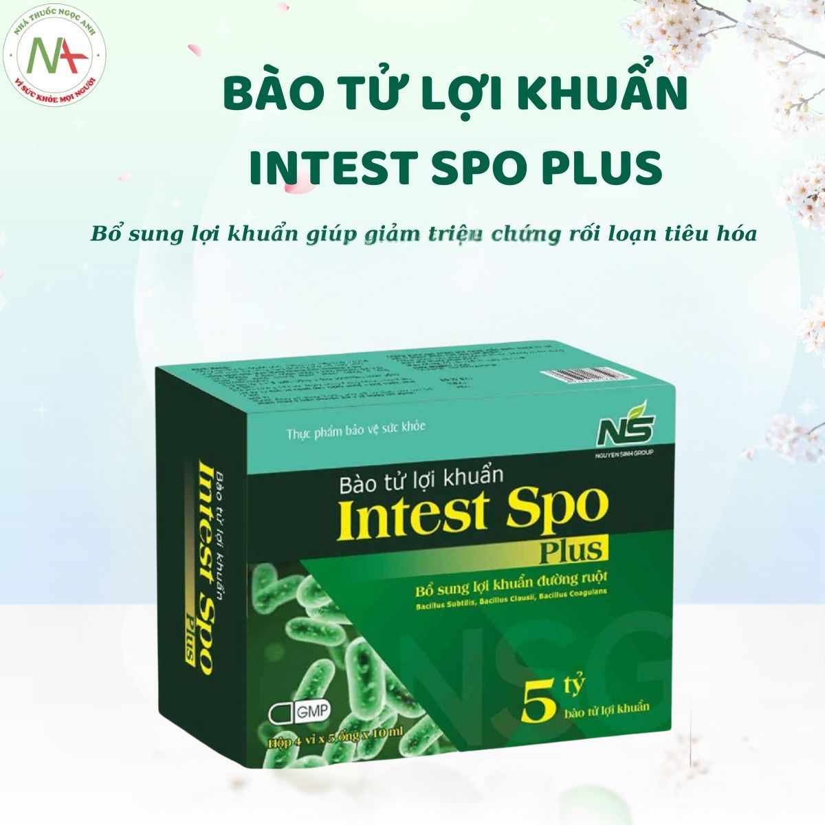 Bào tử lợi khuẩn Intest Spo Plus