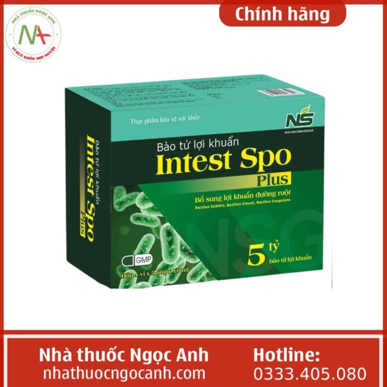 Bào tử lợi khuẩn Intest Spo Plus