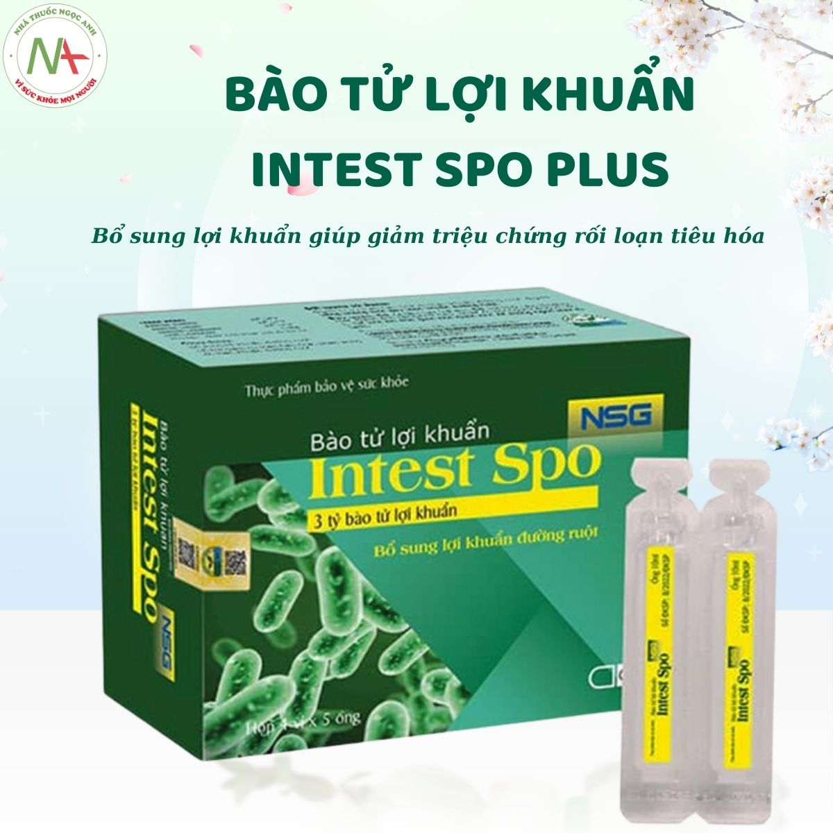 Bào tử lợi khuẩn Intest Spo Plus