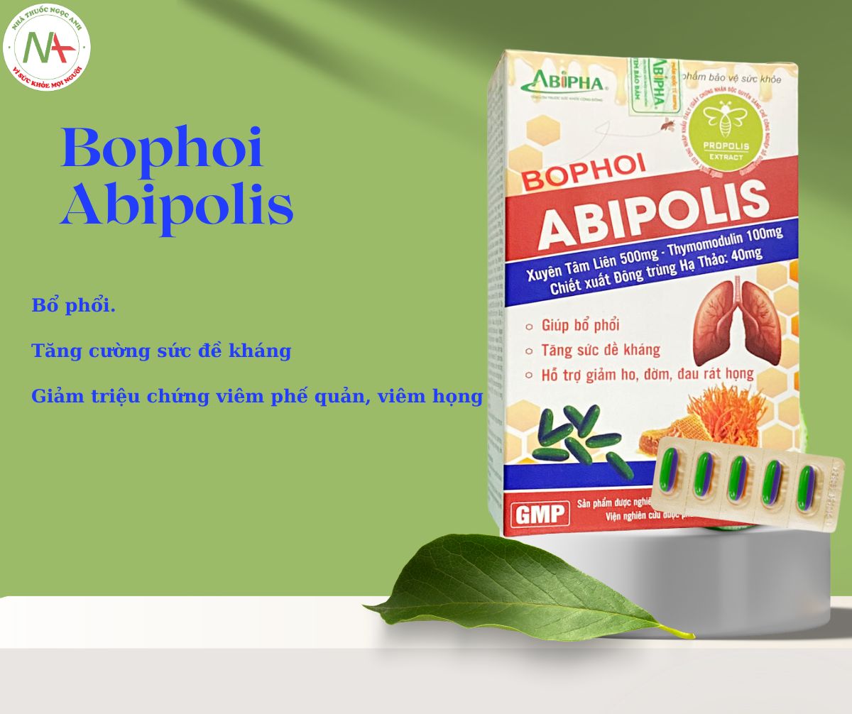 Bophoi Abipolis