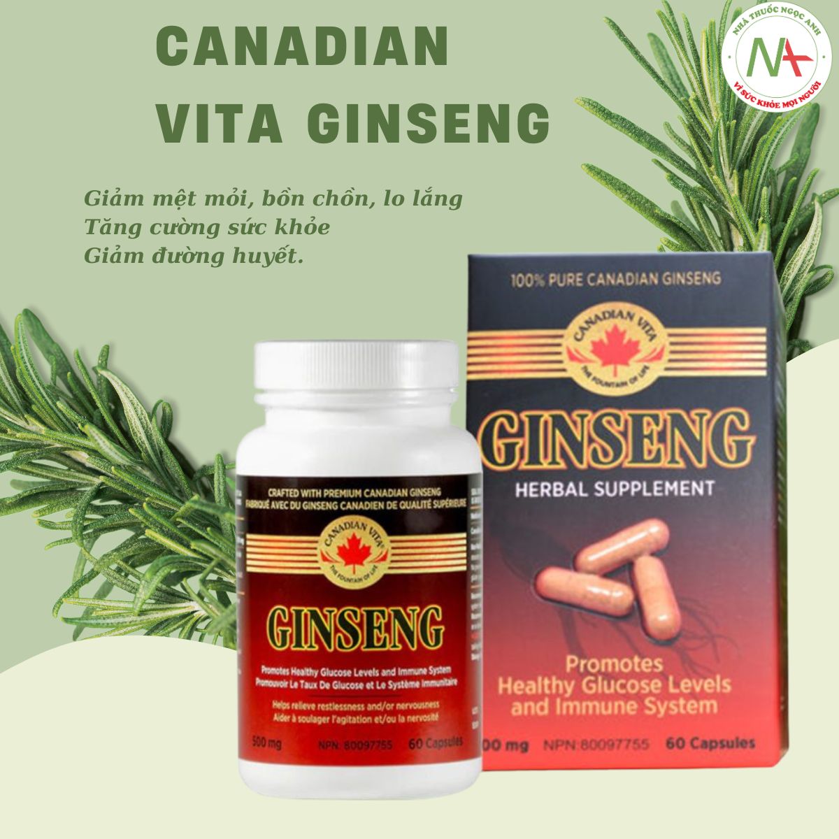 Canadian Vita Ginseng