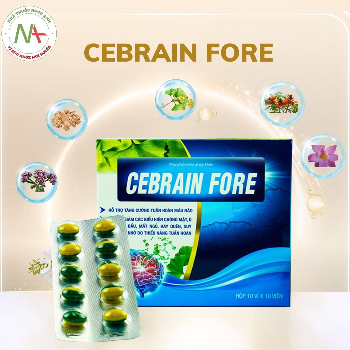 Cebrain Fore