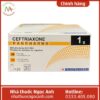 Ceftriaxone Panpharma 1g 75x75px